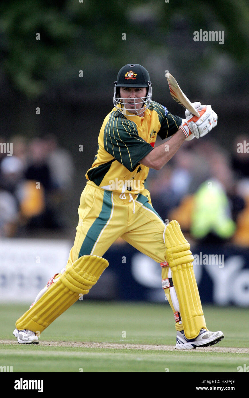 DAMIEN MARTYN Australien GRACE ROAD LEICESTER 11. Juni 2005 Stockfoto