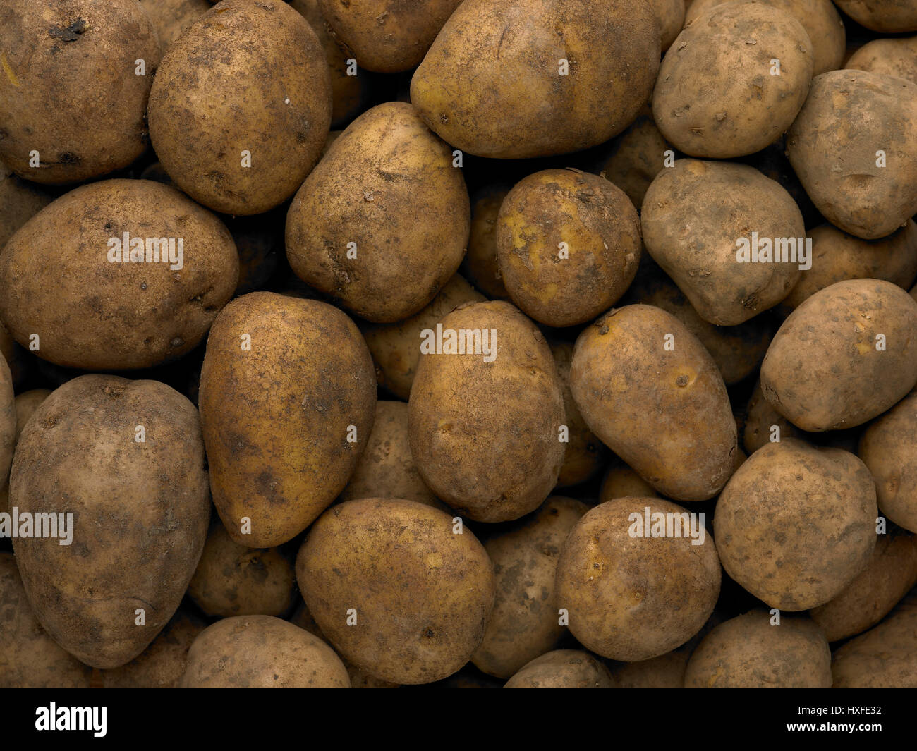 gebürstete Haufen Kartoffeln Stockfoto