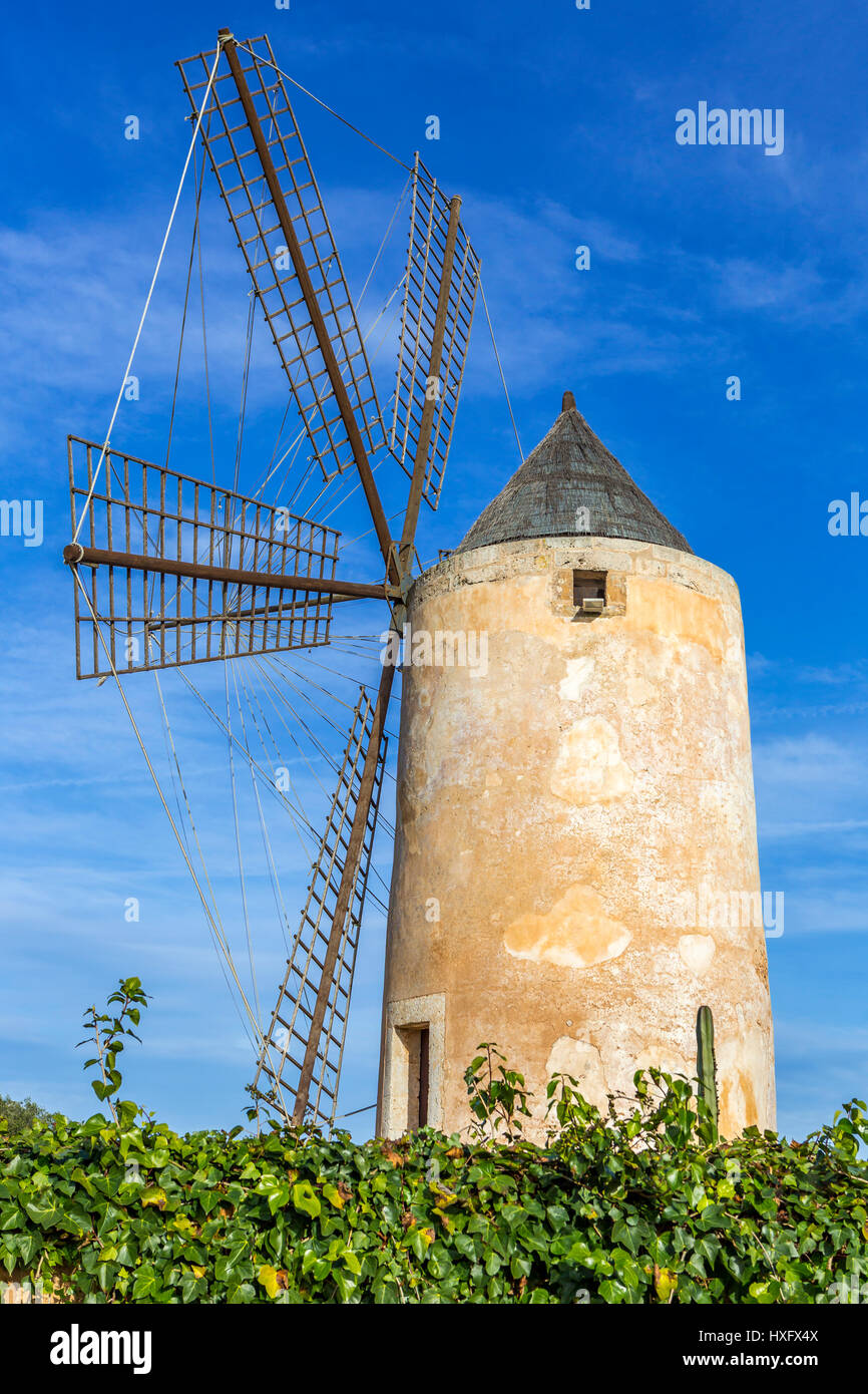 Windmühle, Getreidemühle, Typ: Molino Harinero - Torre Ancha at Hilton Hotel Sa Torre Mallorca, Llucmajor, Mallorca, Spanien Stockfoto