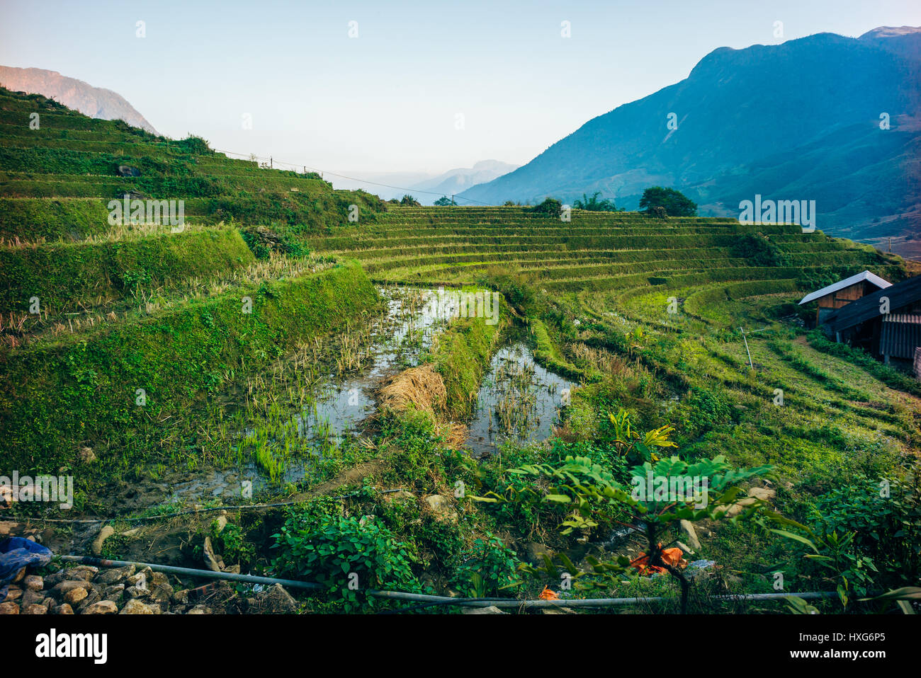 Wunderschönen Reisterrassen in den Bergen von Sapa Region in Vietnam Stockfoto