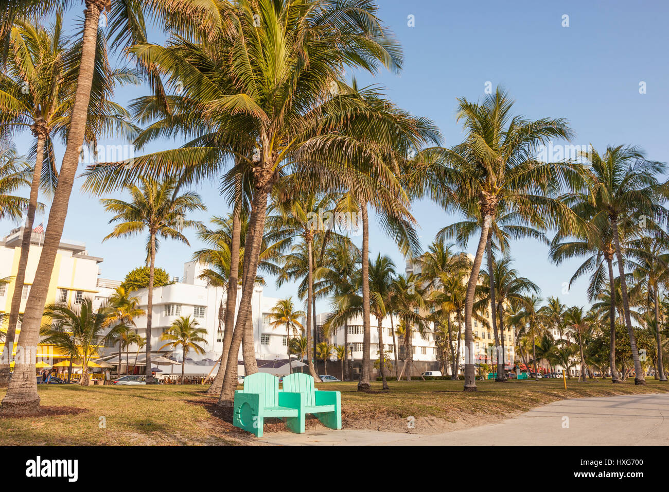 Park mit Kokosnuss-Palmen in Miami Beach. Florida, United States Stockfoto