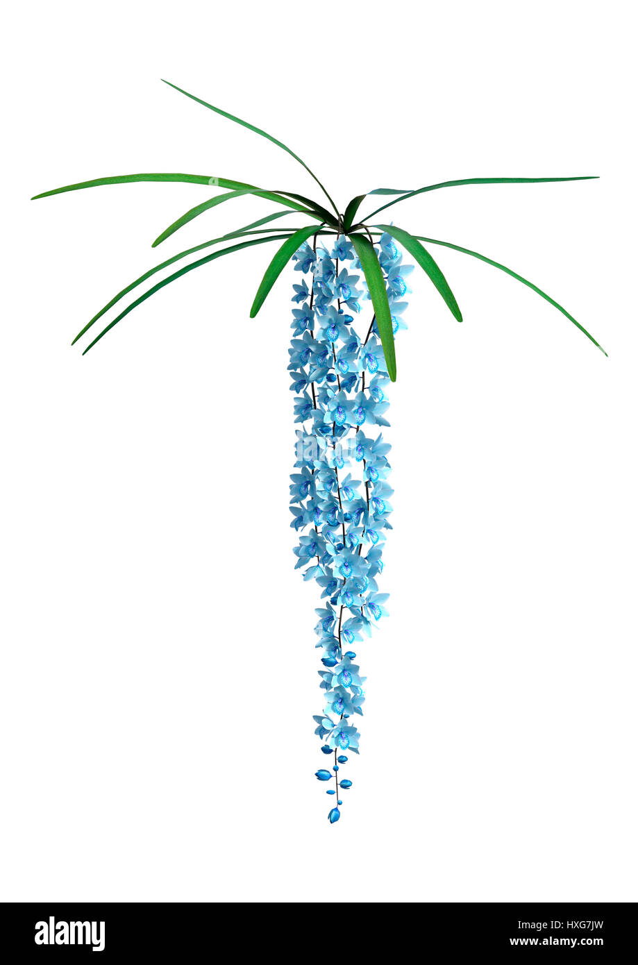3D-Rendering wilde Orchidee blüht isoliert auf weißem Hintergrund Stockfoto