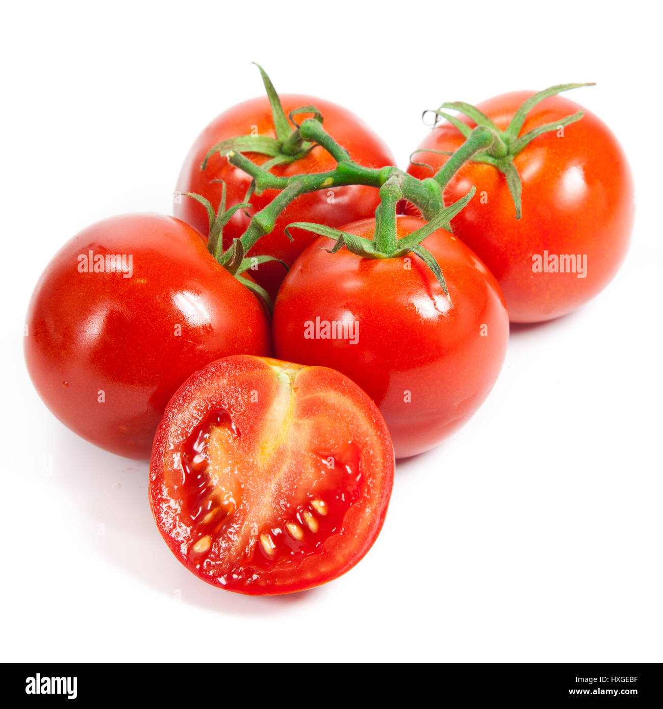 Nahaufnahme von Tomaten auf der Rebe, isoliert auf weiss. Tomaten-Zweig Stockfoto