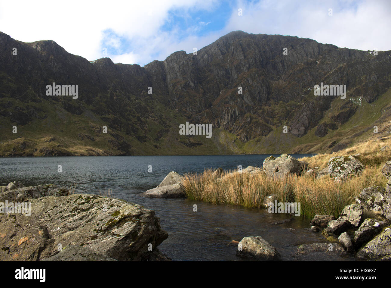 Llyn Cau Stockfoto