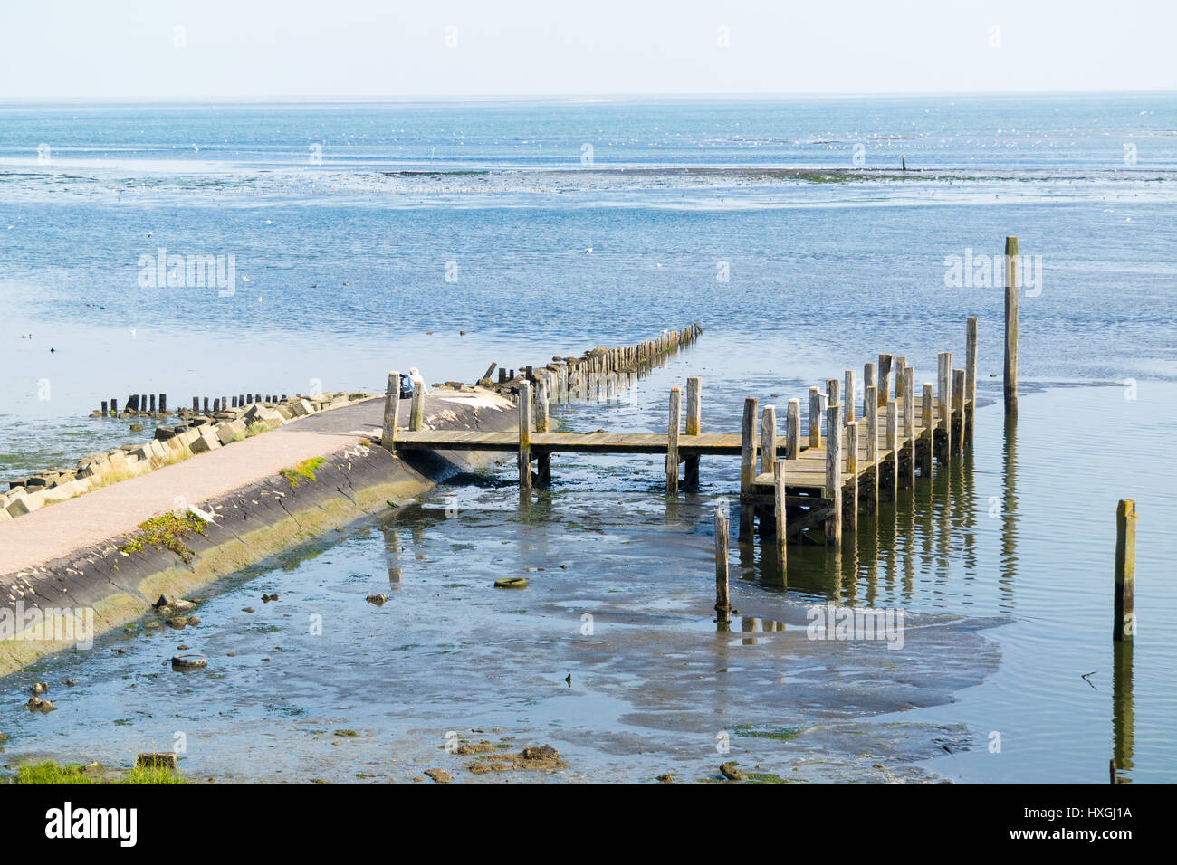 Kleinen alten Hafen von De Cocksdorp auf West friesischen Wattenmeer Insel Texel, Nordholland, Niederlande Stockfoto