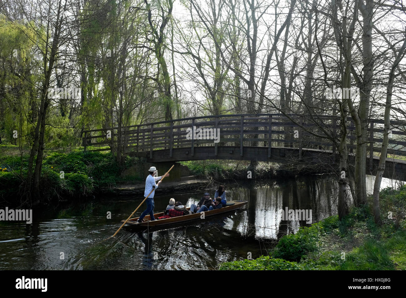 punting Boot für Touristen auf dem Fluss Storr in Stadt von Canterbury East Kent uk März 2017 Stockfoto