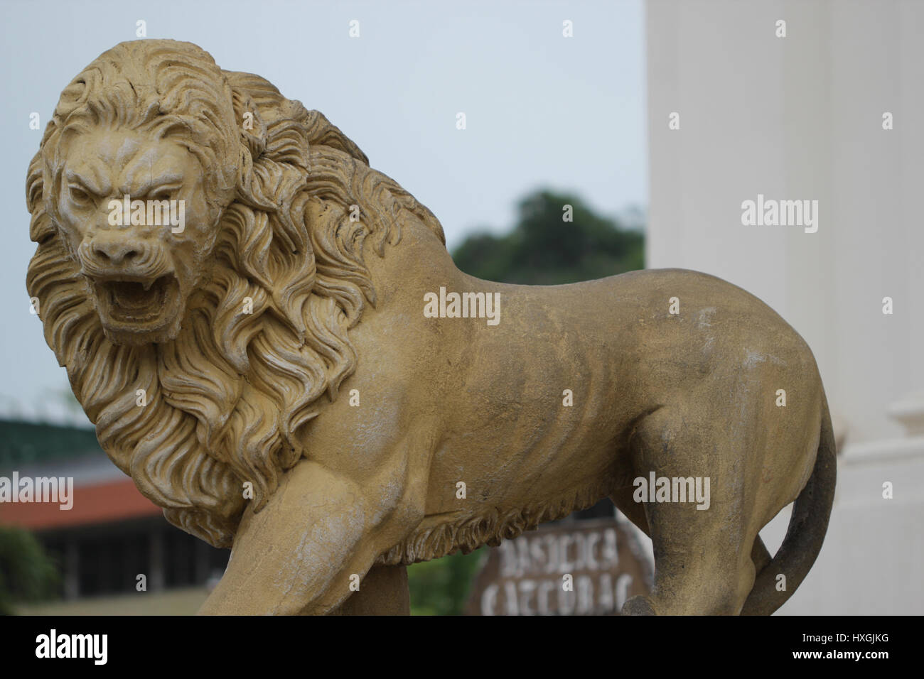 Löwe Skulptur in Leon Nicaragua Stockfoto