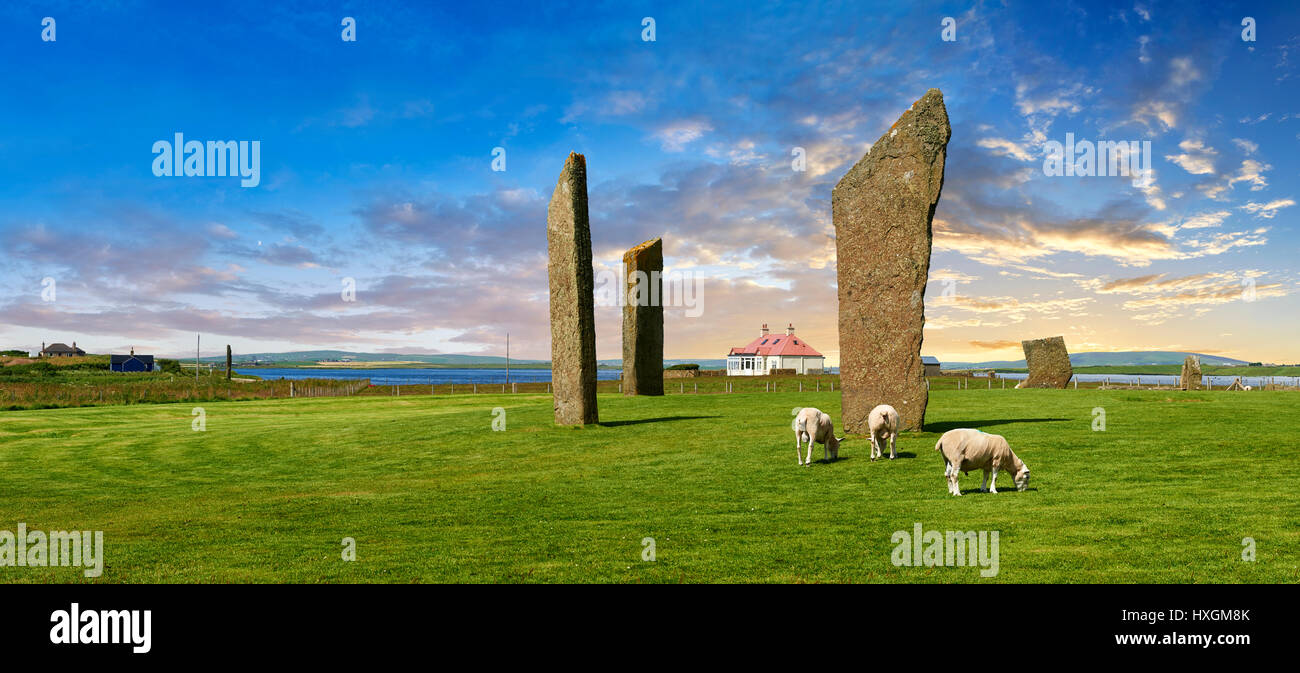 Neolithische Standing Stones von Stenness, Isle of Orkney, Schottland Stockfoto