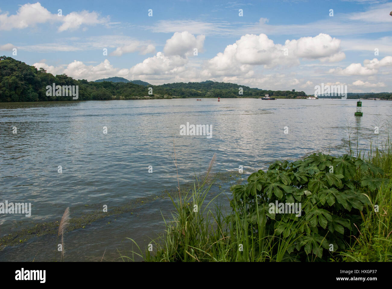 Panama-Kanal in einem sonnigen Sommertag - Panamakanal 22. November 2013 Stockfoto