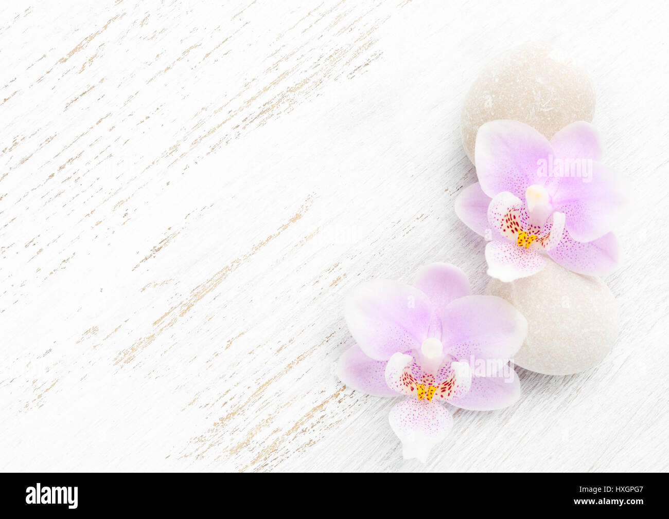 Zwei leichte rosa Orchideen und Steinen auf hölzernen schäbigen Hintergrund Stockfoto