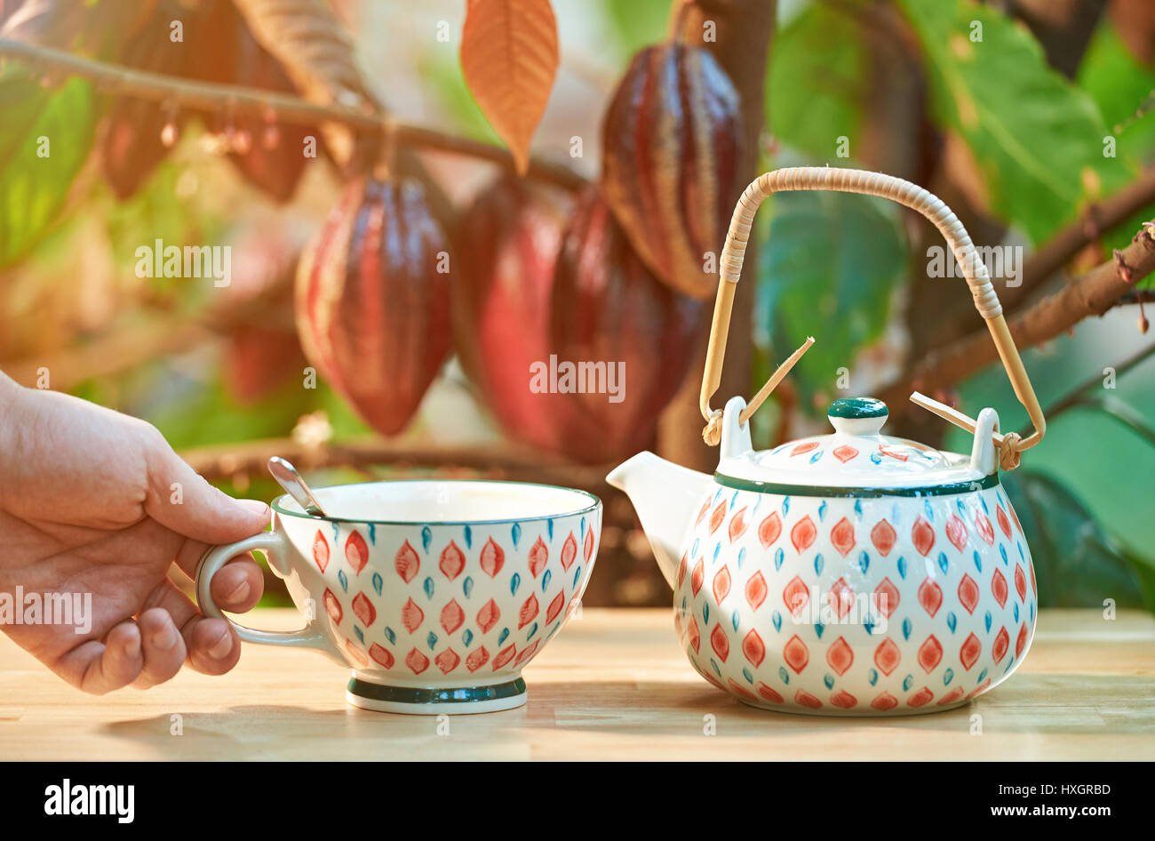 Heiße Trinkschokolade aus Tasse Pn Kakao Baum Hintergrund unscharf. Natürlicher Kakao Stockfoto