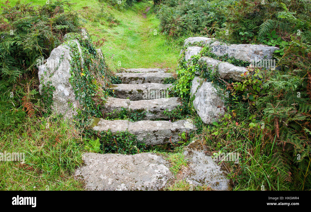 Feld-Grenze-Stil machte große Granitplatten bilden einen riesigen steinernen Rinder Raster in der Nähe des Dorfes Zennor auf der Küste von West Penwith Cornwall Stockfoto