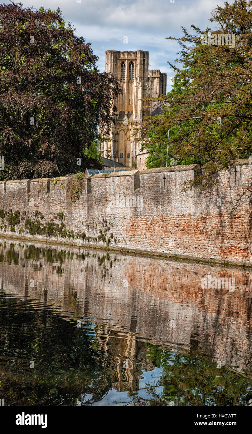 Wells Cathedral Somerset UK hinter den Mauern und Gräben der Bischofspalast Stockfoto