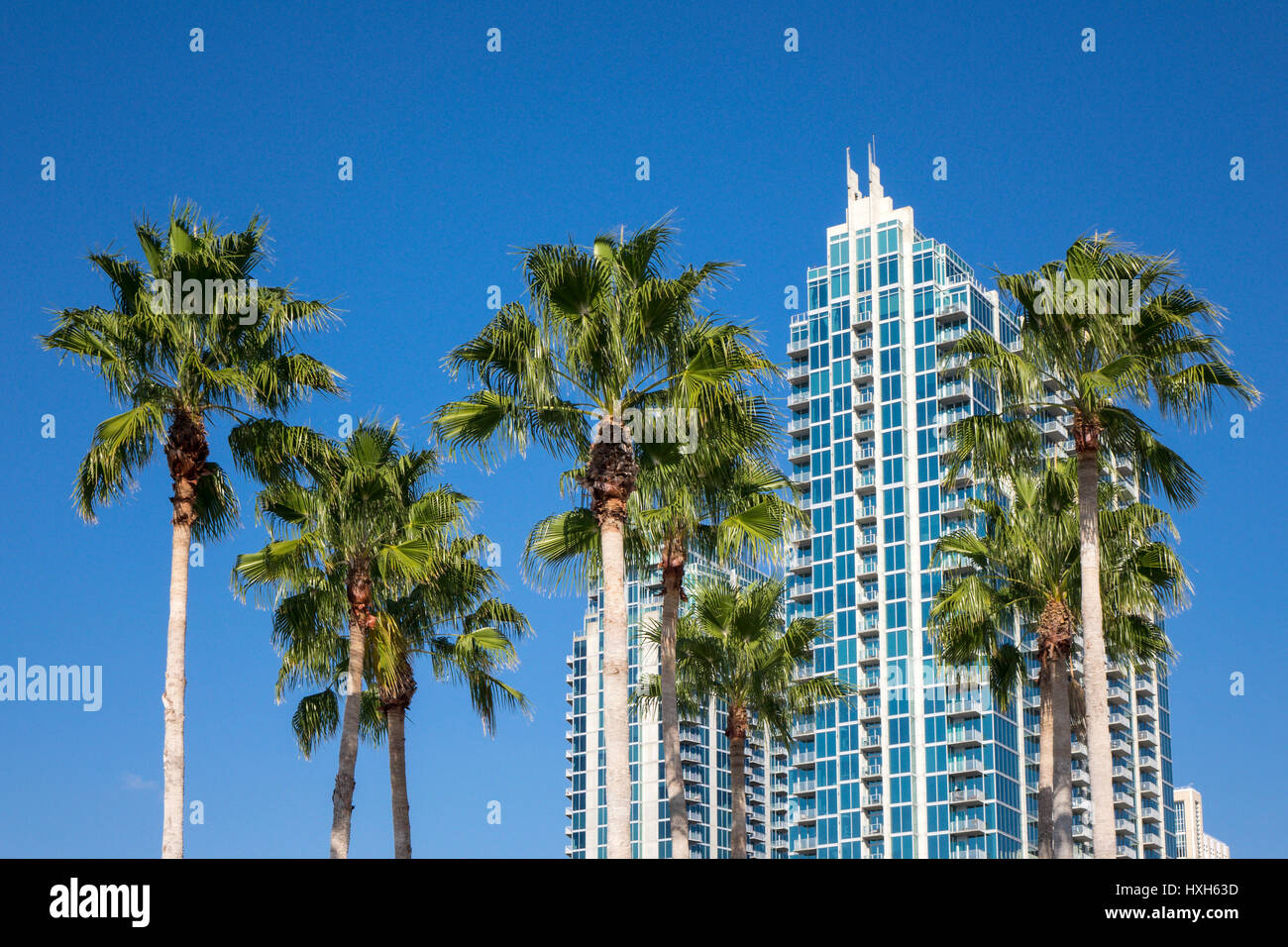 Luxus-Eigentumswohnung, Tampa Bay, Florida, USA Stockfoto