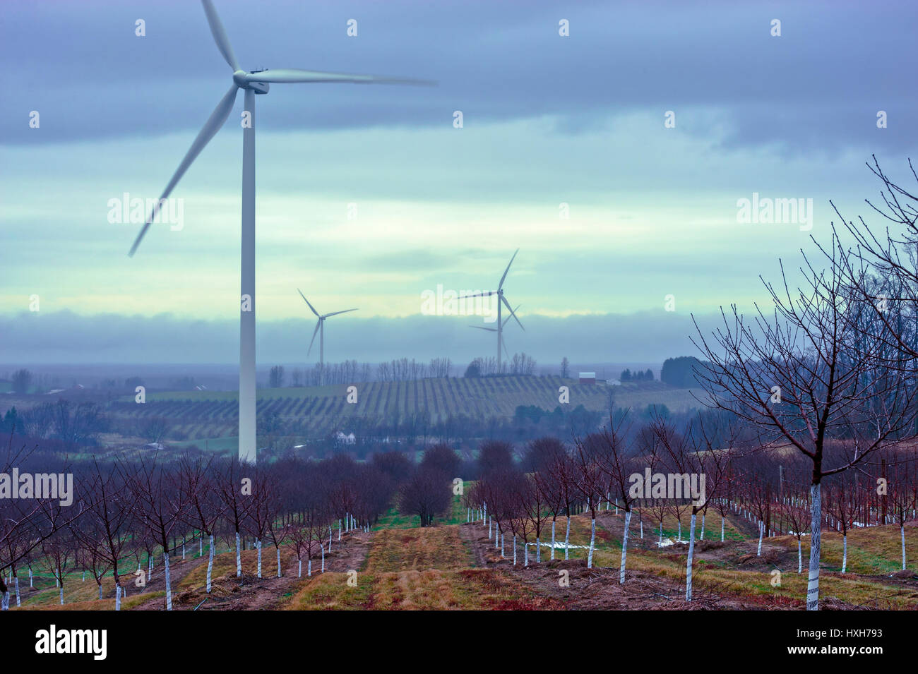 Energie-See-Windturbinen (100 Megawatt) der Verbraucher in der Nähe von Ludington, Michigan, USA. Stockfoto