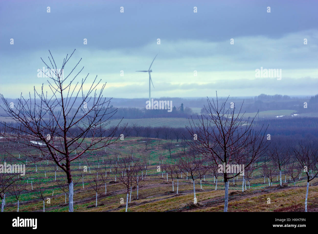 Energie-See-Windturbinen (100 Megawatt) der Verbraucher in der Nähe von Ludington, Michigan, USA. Stockfoto