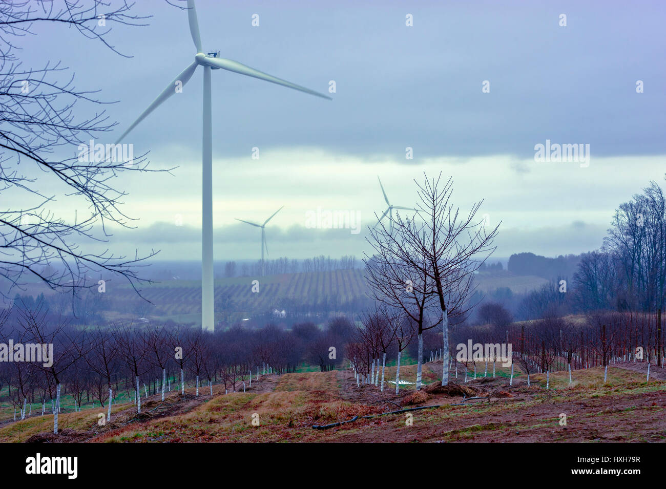 Energie-See-Windturbinen (100 Megawatt) der Verbraucher in der Nähe von Ludington, Michigan, USA. Stockfoto