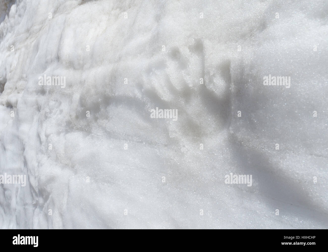 Menschliche Hand druckt auf den weißen Schnee-Wand Stockfoto