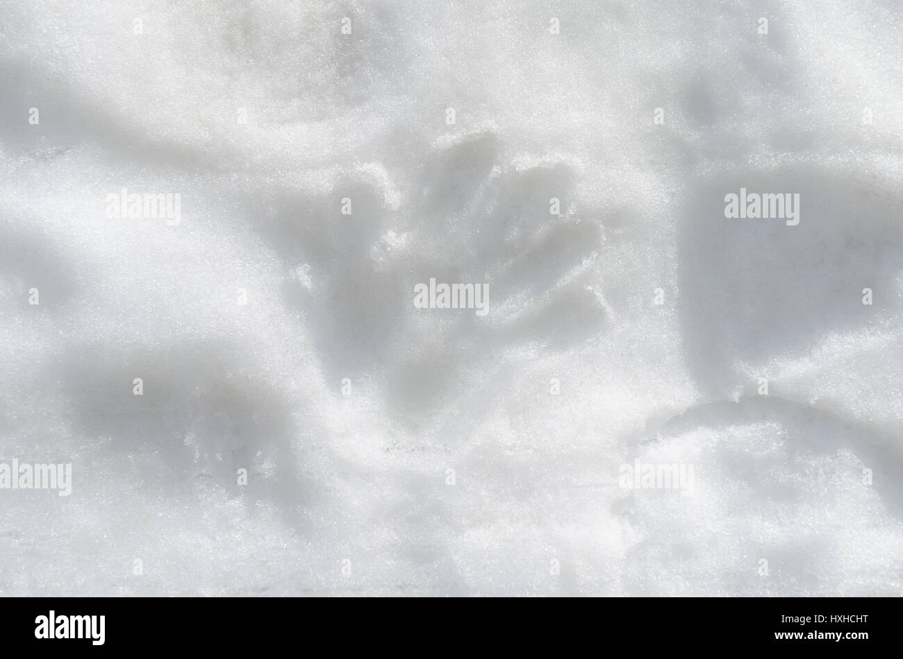 Menschliche Handabdrücke auf dem weißen Schnee Stockfoto