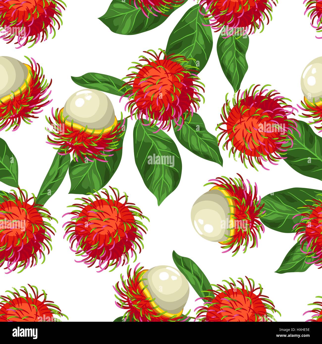 Nahtlose Pettern mit Rambutan isoliert auf weißem Hintergrund. Illustration der tropischen Pflanze Stock Vektor