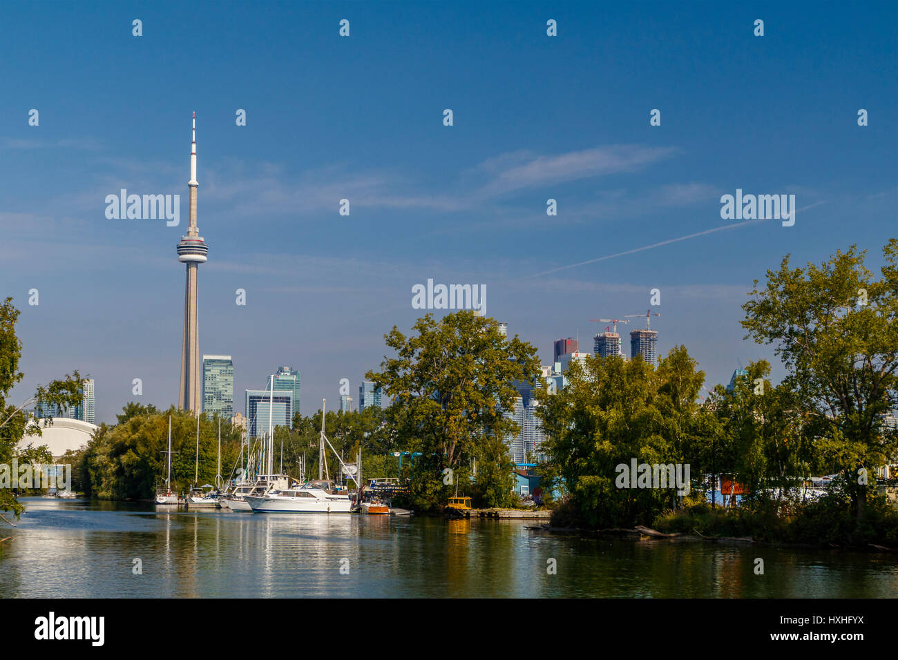 Der CN Tower hoch über die Stadtlandschaft von Toronto, Ontario, Kanada. Stockfoto