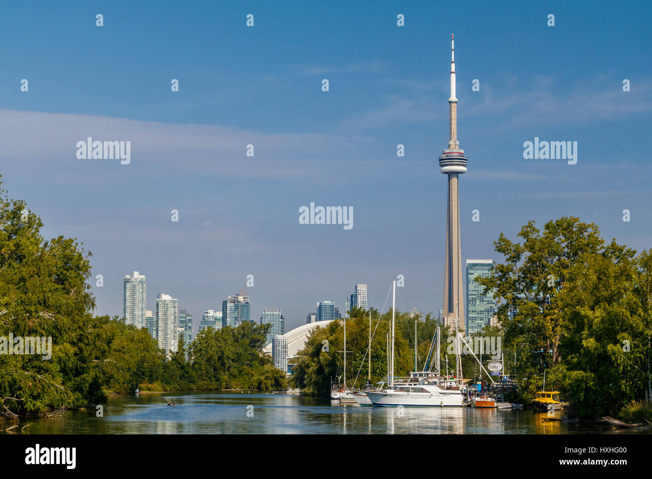 Der CN Tower hoch über die Stadtlandschaft von Toronto, Ontario, Kanada. Stockfoto