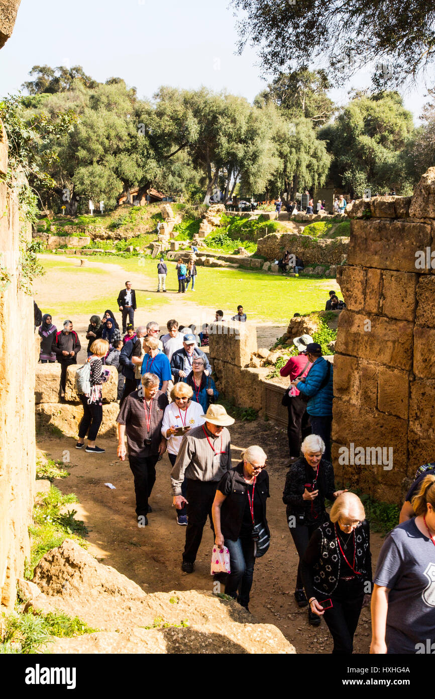 Welche Beschilderung gibt es im archäologischen Park Tipaza/Tipasa in französischer Sprache, scheint also für Englisch sprechende Besucher, eine geführte Tour durch diese bemerkenswerte Anci Stockfoto