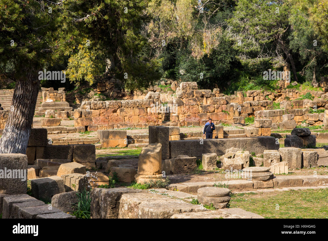 Tipaza oder Tipasa, war eine alte phönizische Handelsposten im 2BC, eines ihrer wichtigsten strategischen Grundlagen in Afrika werden von Rom erobert.  Heute, Tipaza Stockfoto