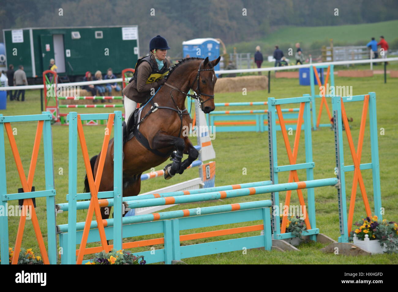 Ein Pferd bei einer Show Jumping-Veranstaltung in England im Sommer Stockfoto