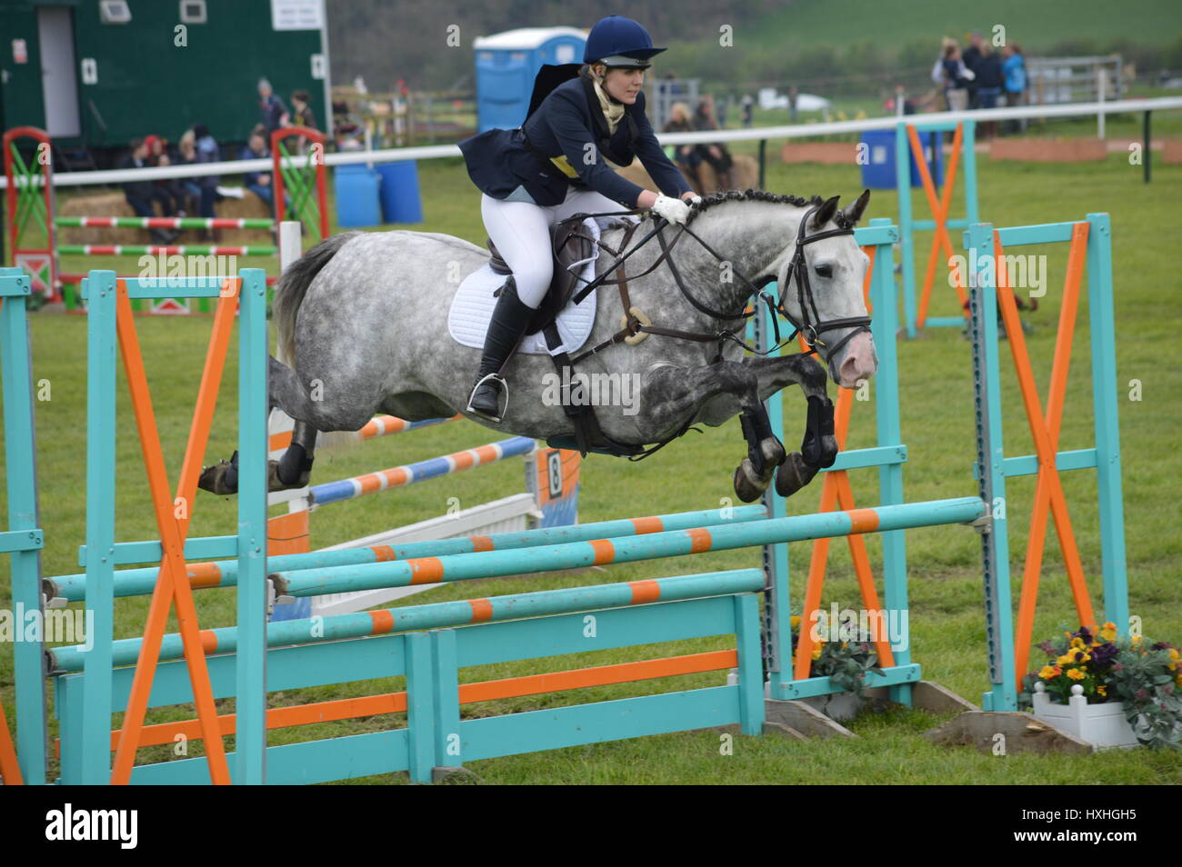 Ein Pferd bei einer Show Jumping-Veranstaltung in England im Sommer Stockfoto