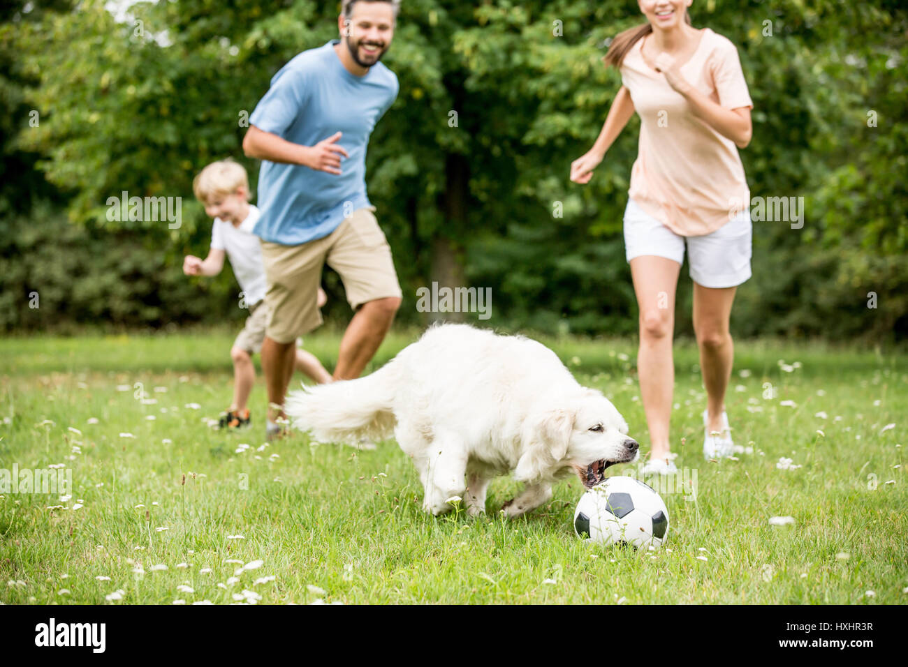 Familie spielt Fußball mit Hund und viel Spaß im Sommer Stockfoto