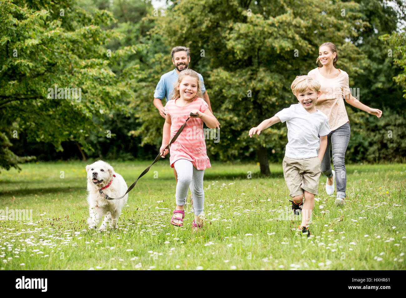 Glückliche Familie mit zwei Kindern und Hund mit Spaß im Sommer auf der Wiese Stockfoto