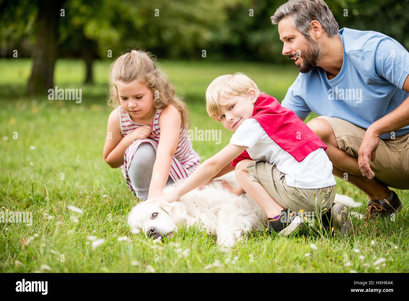 Kinder streicheln und spielen mit Hund im Sommer im park Stockfoto