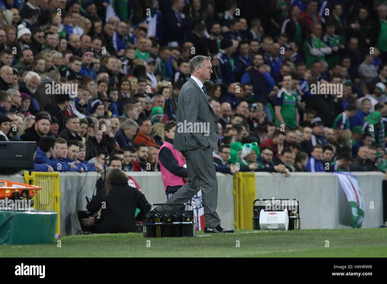 Nationale Fußball-Stadion im Windsor Park, Belfast. 26. März 2017. 2018 World Cup Qualifier - Nordirland 2 Norwegen 0. Nordirland-Manager Michael O'Neill in seinem technischen Bereich. Stockfoto