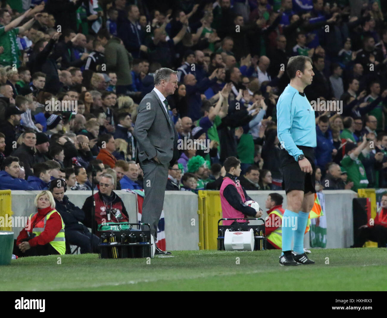 Nationale Fußball-Stadion im Windsor Park, Belfast. 26. März 2017. 2018 World Cup Qualifier - Nordirland 2 Norwegen 0. Nordirland-Manager Michael O'Neill in seinem technischen Bereich. Stockfoto