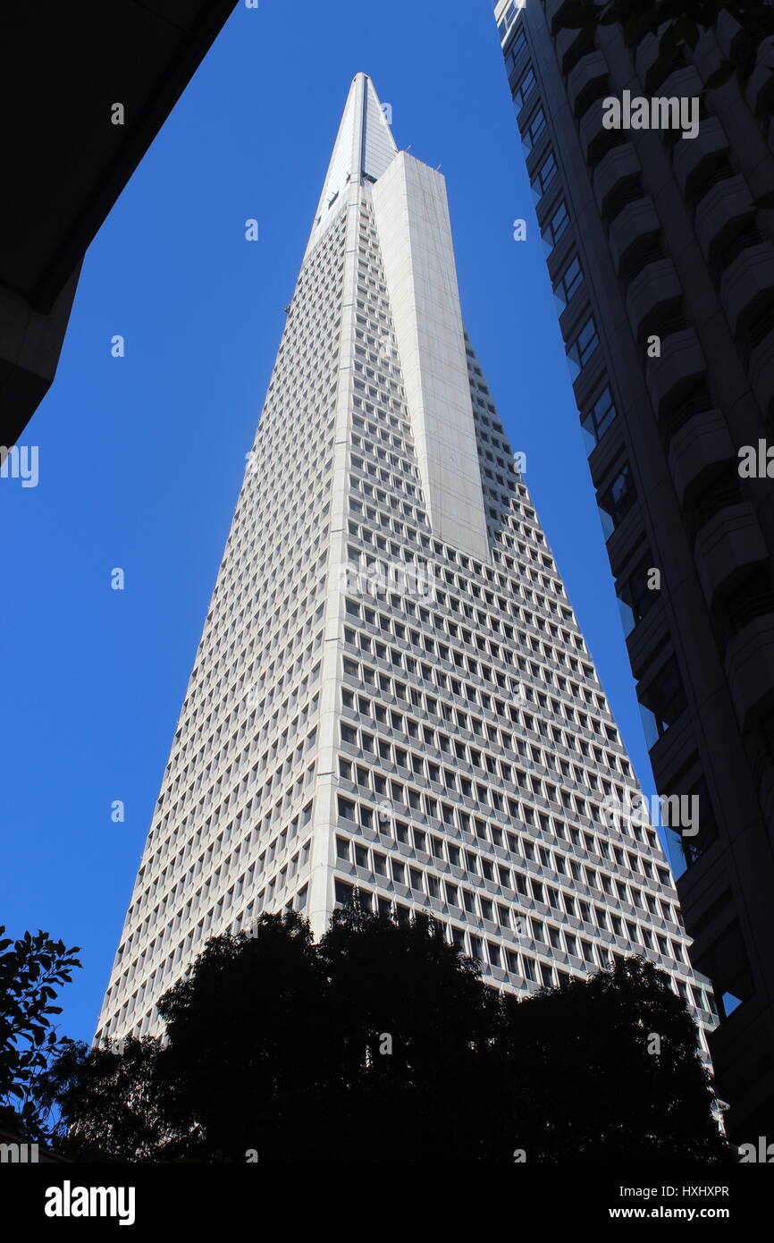Transamerica Pyramid, San Francisco, Kalifornien Stockfoto