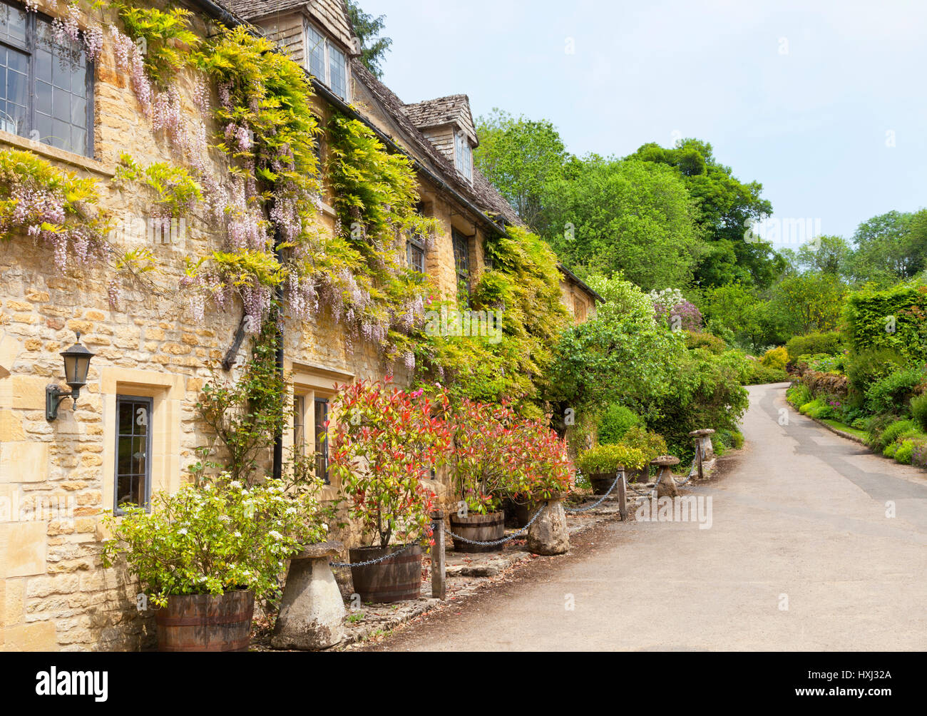 Alte englische Hütten mit Blüte lila Glyzinien an den Wänden, Stein Pilz Ornamente, durch eine Straße, in einem ländlichen Dorf Stockfoto