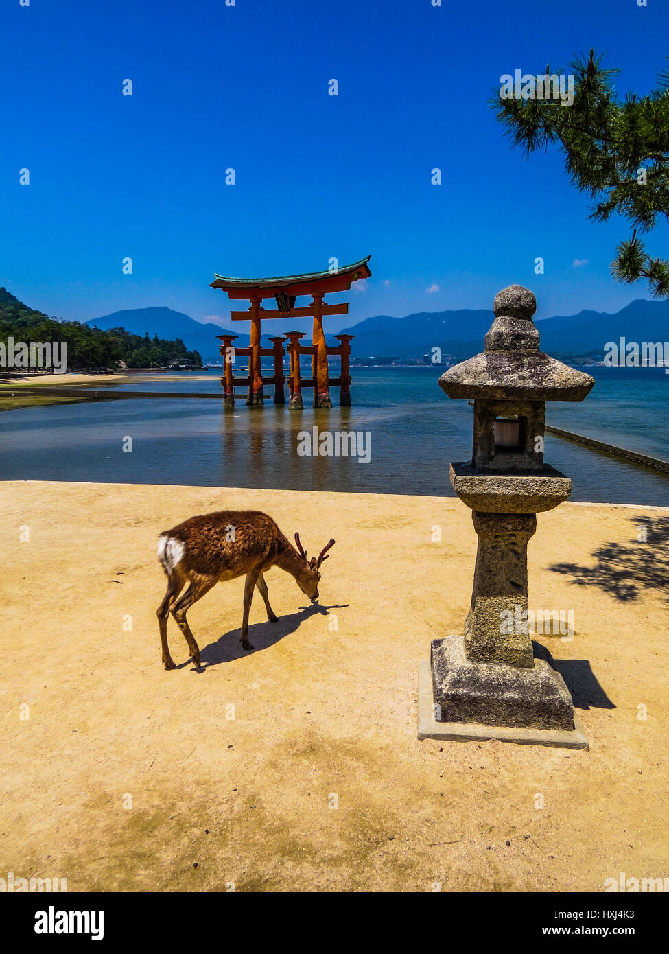 Itsukushima Shinto-Schrein in Miyajima, Japan Stockfoto