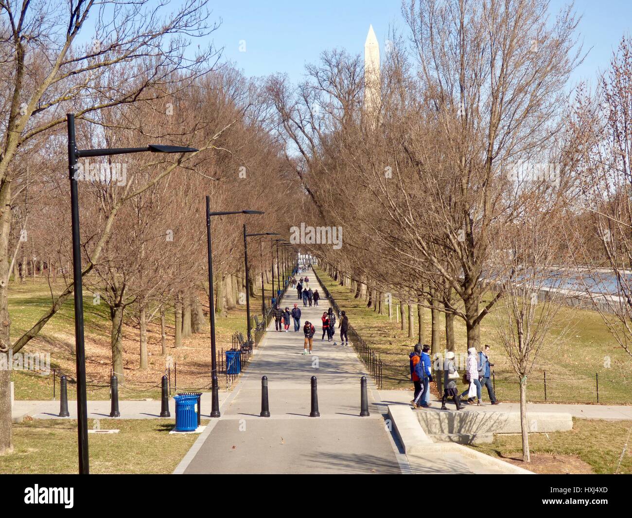 National Mall. Auf der Suche nach Washington Monument, Washington, DC im März. USA. Stockfoto