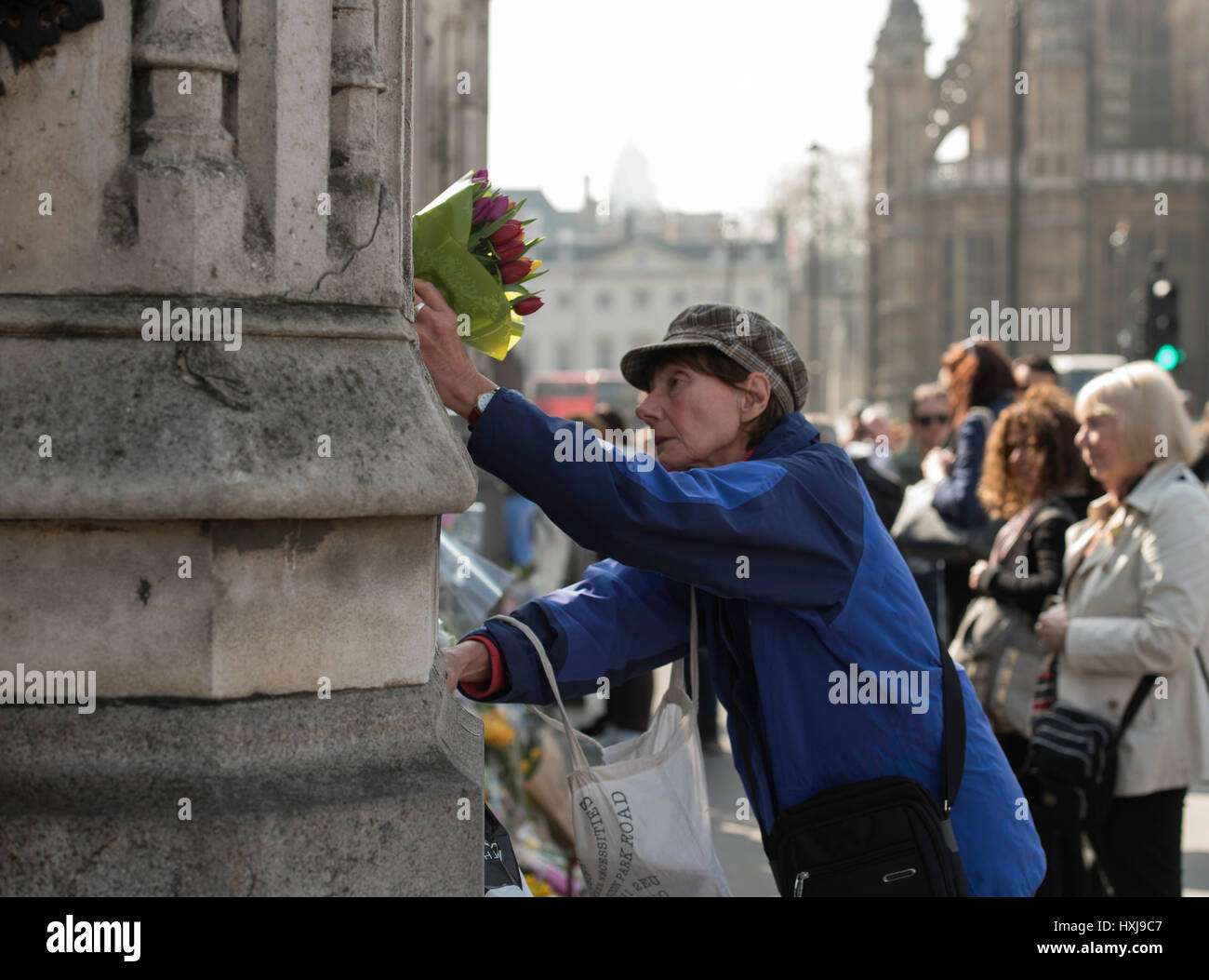 London, UK. 28. März 2017. Ein Mitglied der öffentlichen Ort Blumen an den Geländern an das House Of Commons nach dem Terror-Anschlag Credit: Ian Davidson/Alamy Live News Stockfoto