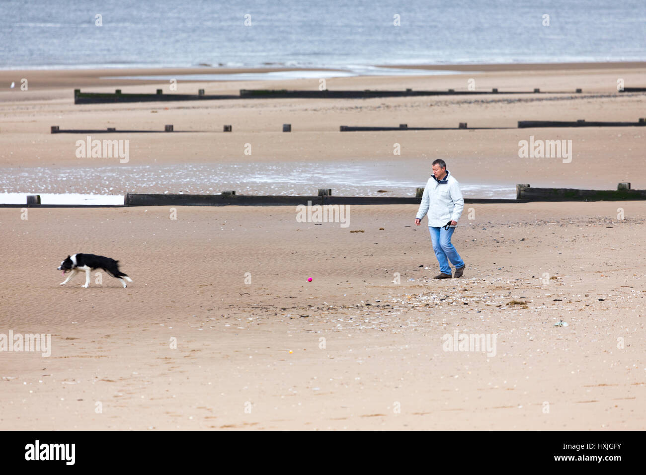 Menschen Sie nehmen ein Hund am frühen Morgen zu Fuß entlang der beliebten Strand von Rhyl, Nordwales Stockfoto