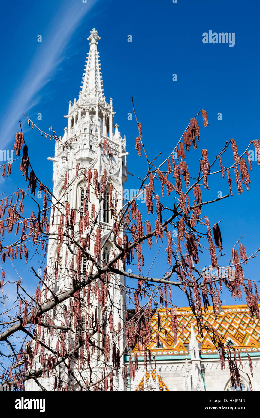 Matyas Kirche, Szentháromság Tér, Várhegy, Budapest, Ungarn Stockfoto