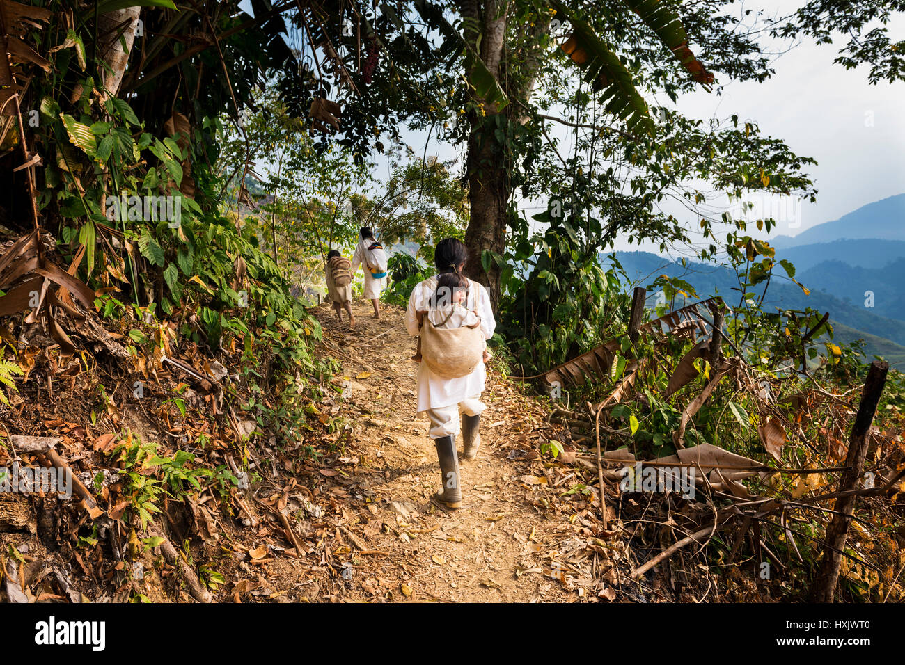 Sierra Nevada de Santa Marta, Kolumbien - 8. März 2014: Kogi Familie gehen in eine Spur im Wald in der Sierra Nevada de Santa Marta, Kolumbien Stockfoto