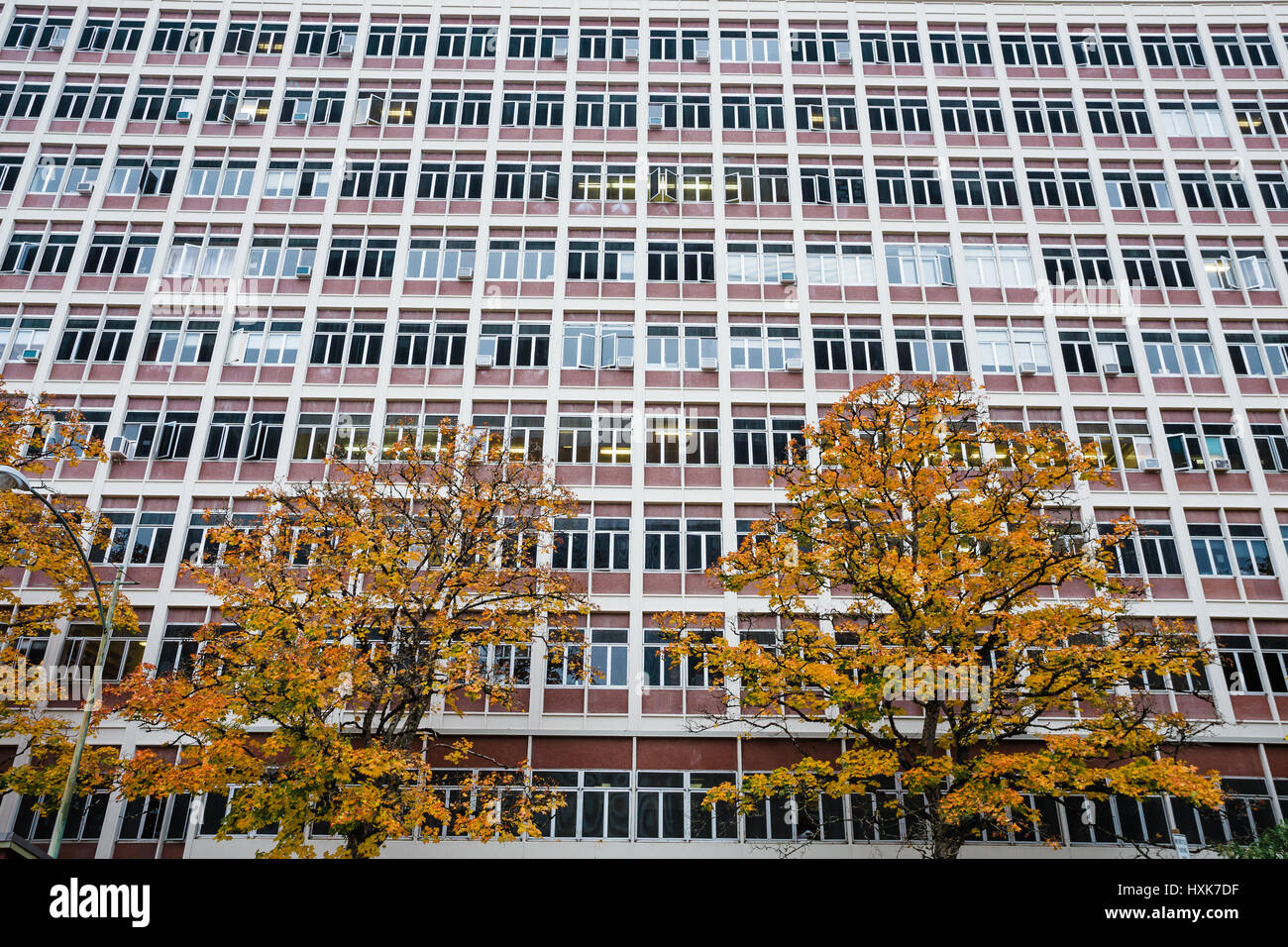 PLC-Gebäude im Herbst oder Herbst auf dem Campus der University of Oregon in Eugene. Stockfoto