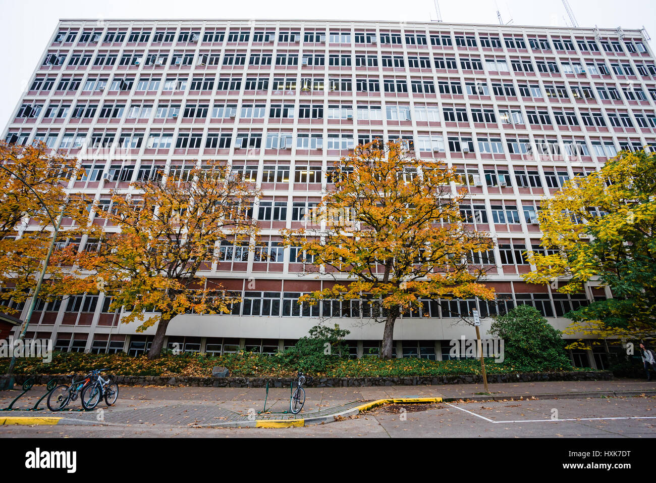 PLC-Gebäude im Herbst oder Herbst auf dem Campus der University of Oregon in Eugene. Stockfoto