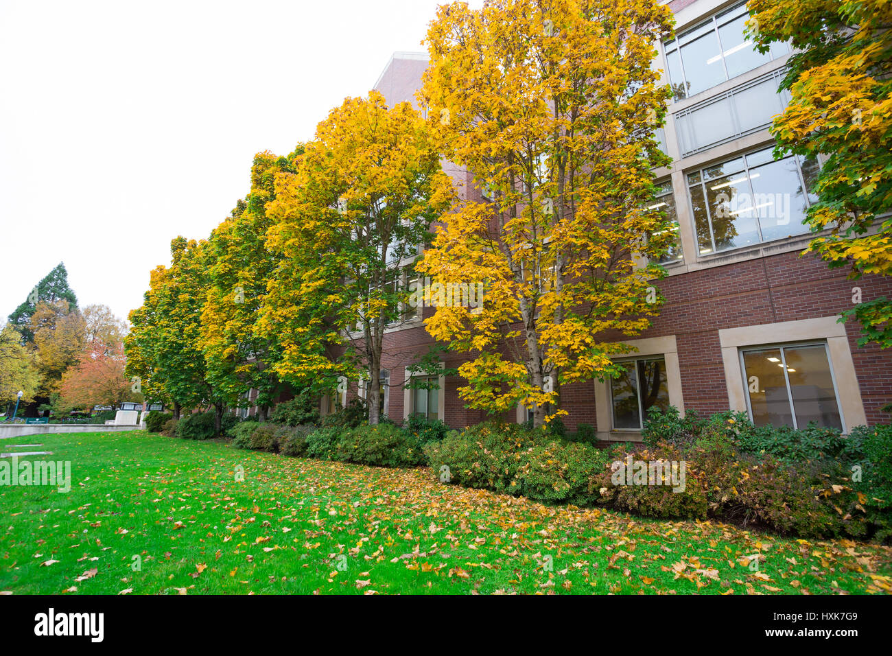 University of Oregon mit Herbstfarben wie die Blätter an den Bäumen verfärben in Eugene, Oregon. Stockfoto