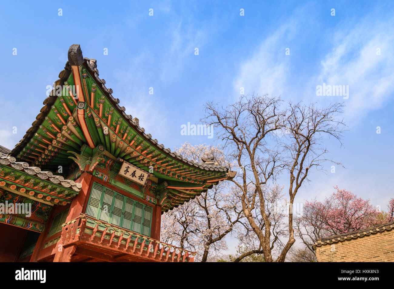 Frühling Kirschblüte im Changdeokgung Palace, Seoul, Südkorea Stockfoto