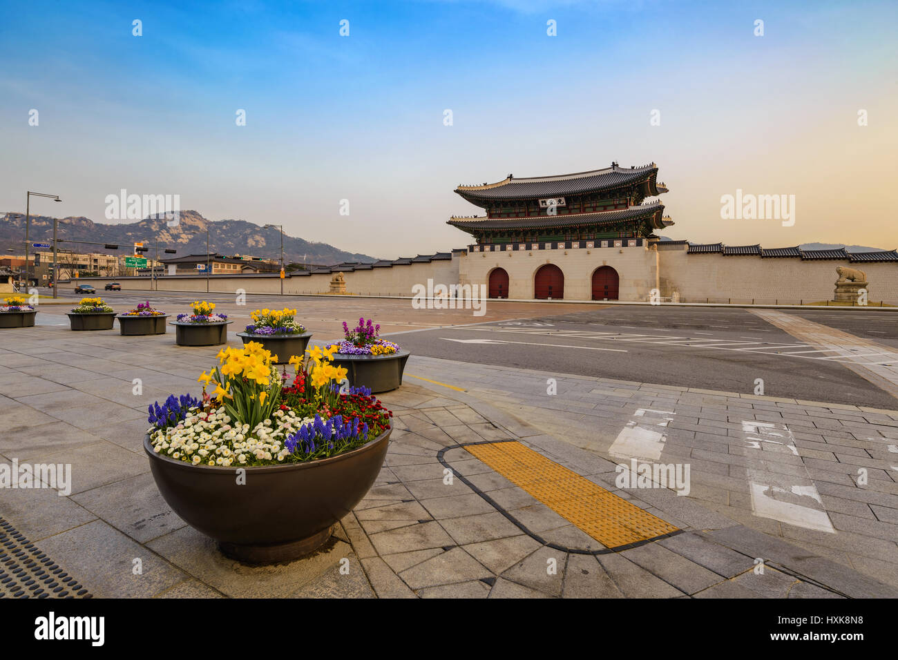 Frühling in Seoul City am Gwanghwamun-Tor, Seoul, Südkorea Stockfoto