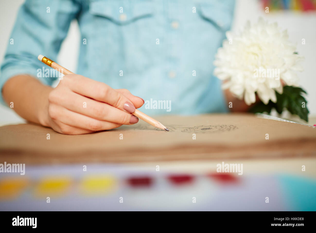 Skizze des hübschen Chrysantheme Stockfoto