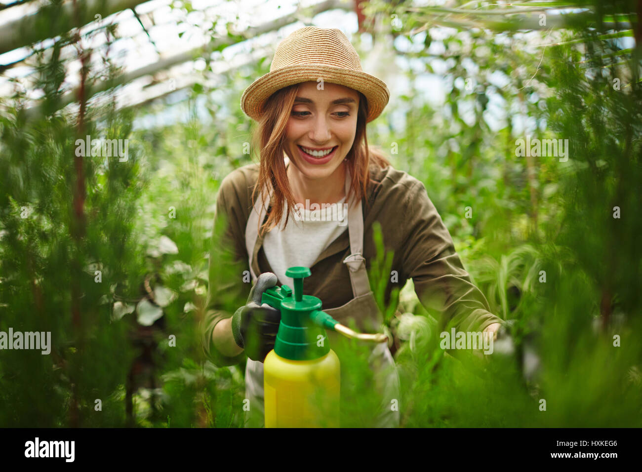 Junge Frau Spray Behandlung von Pflanzen im Gewächshaus Stockfoto